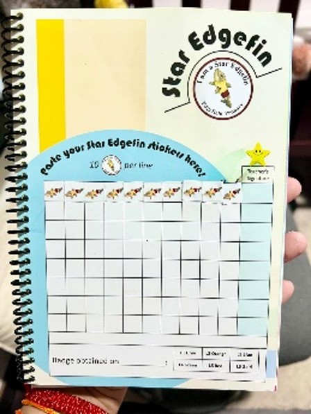 10 stickers earned in Student Diary